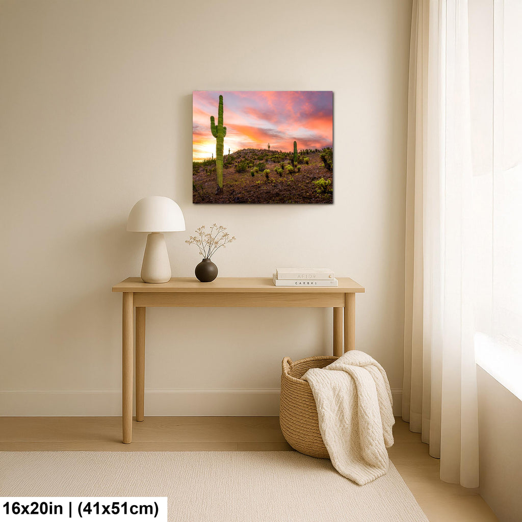 Towering Saguaro at Sunset - Sonoran Desert Casa Grande Arizona Photography Print