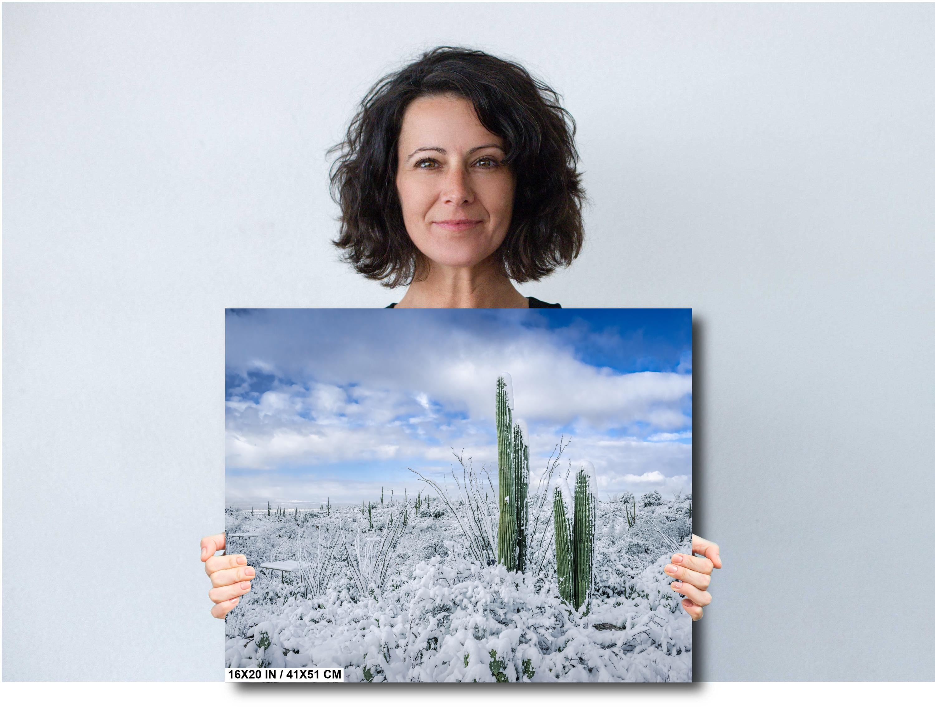 Saguaro National Park Winter Print: Arizona Desert Snow Photography