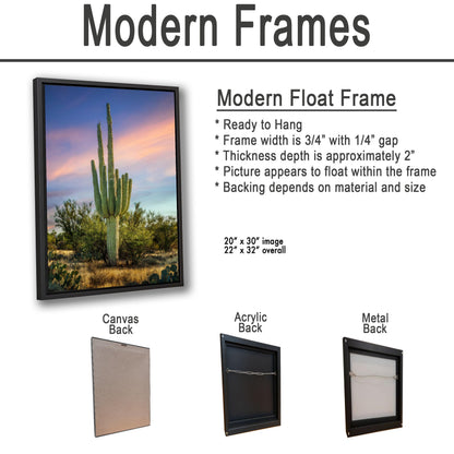 Oro Valley Saguaro at Dusk Photography Print, Tucson Arizona Desert Landscape, Southwestern Wall Art, Cactus Decor