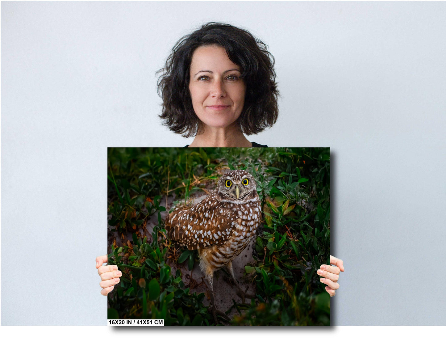 Burrowing Owl with Unblinking Eyes in Cape Coral’s Green Haven The Americas Print Wall Art Photography Aluminum/Acrylic/Metal/Canvas