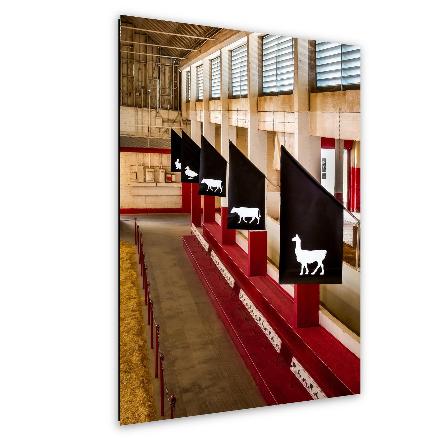 Arizona State Fair Livestock Barn Photography Print, Phoenix Agricultural Display, Red Exhibition Stalls, Farm Animal Signs