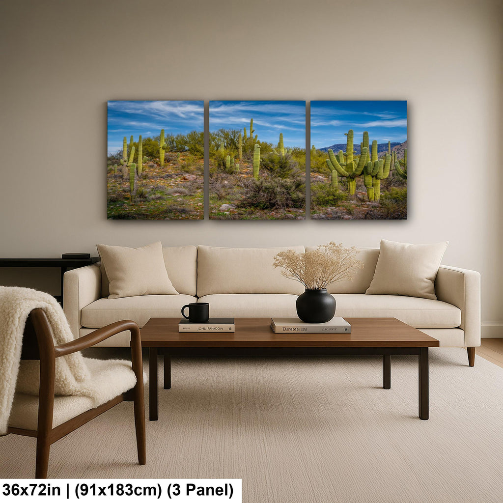 Sonoran Desert Hillside with Saguaros - Catalina State Park Tucson Arizona Photography Print