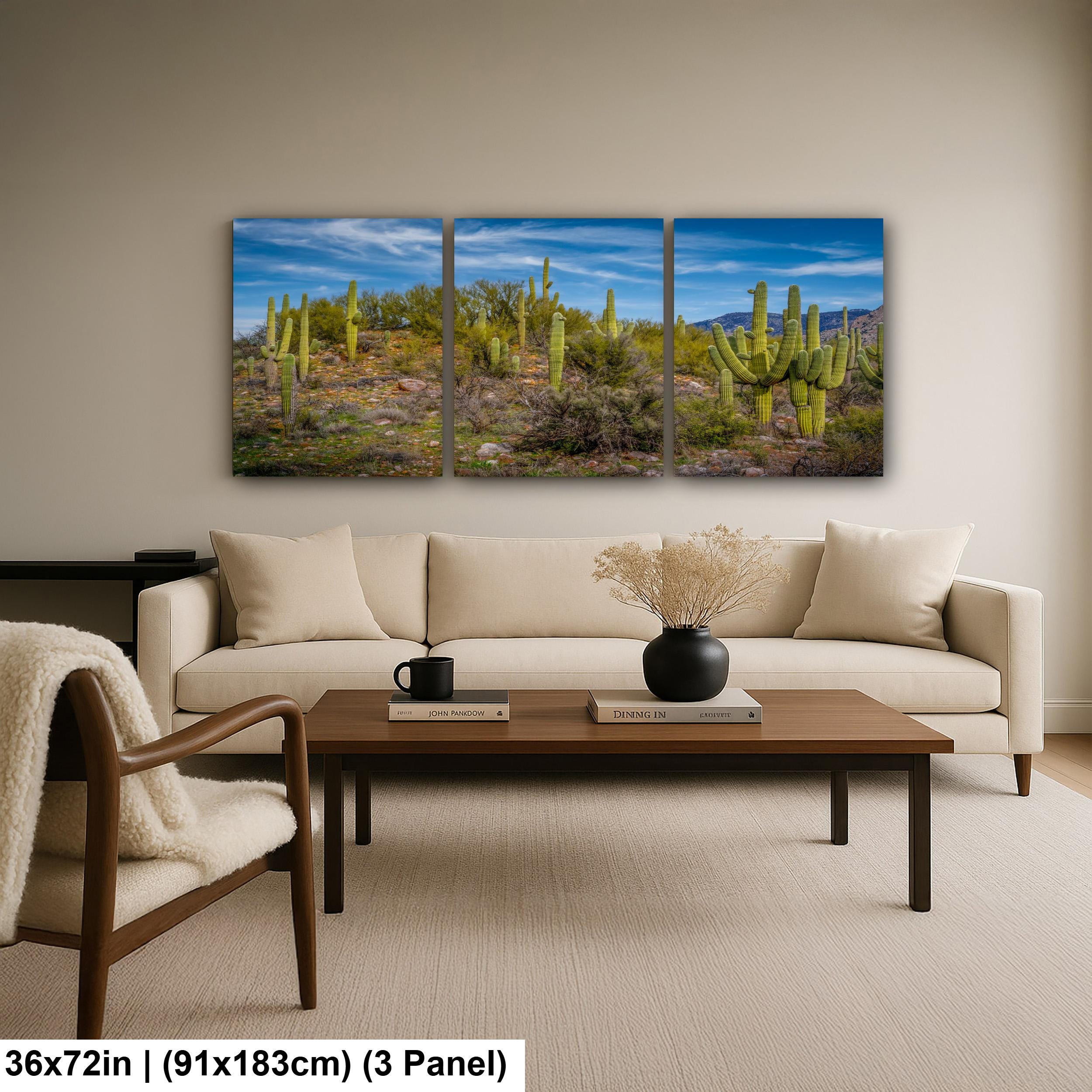 Sonoran Desert Hillside with Saguaros - Catalina State Park Tucson Arizona Photography Print