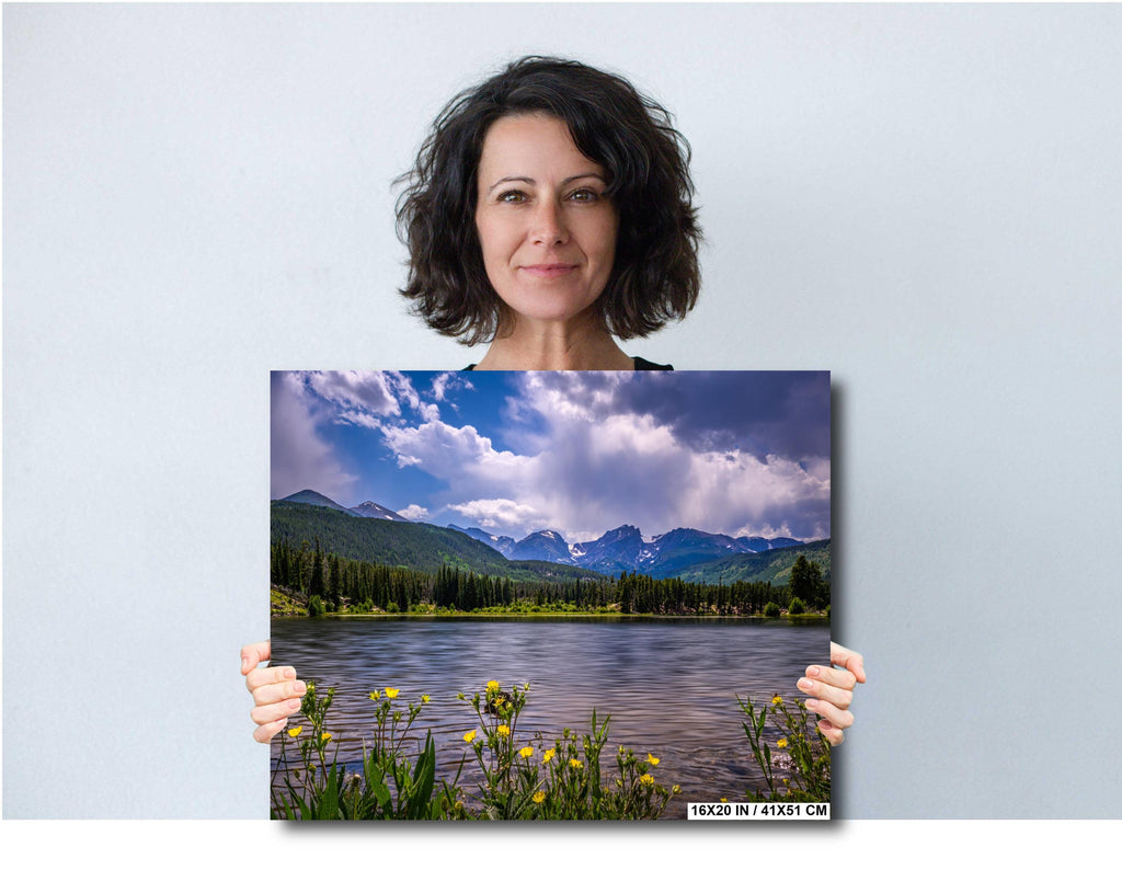 Rocky Mountain National Park Print: Golden Wildflower Lake Photography