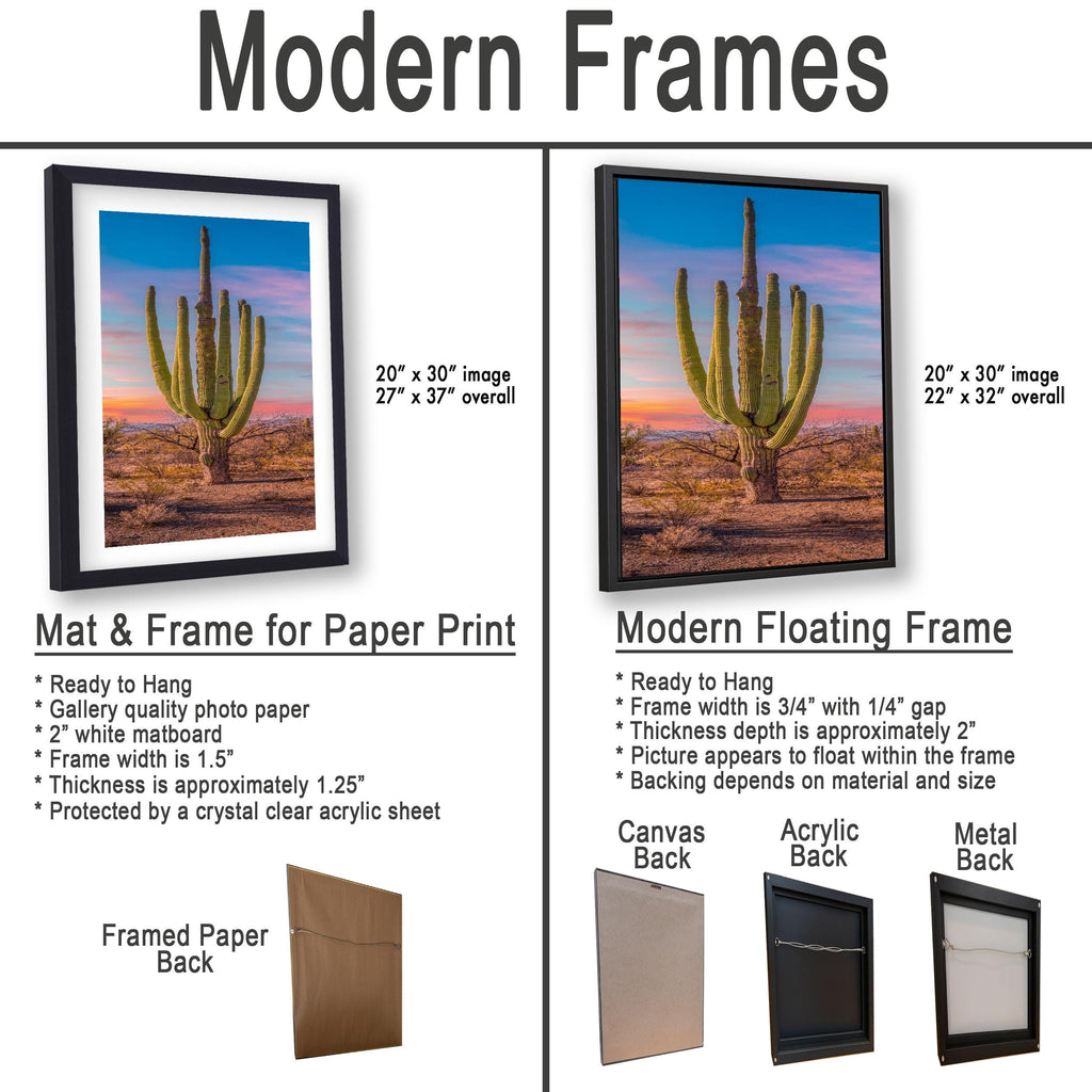 Multi-Arm Saguaro at Sunset - Saguaro National Park East Tucson Arizona Photography Print