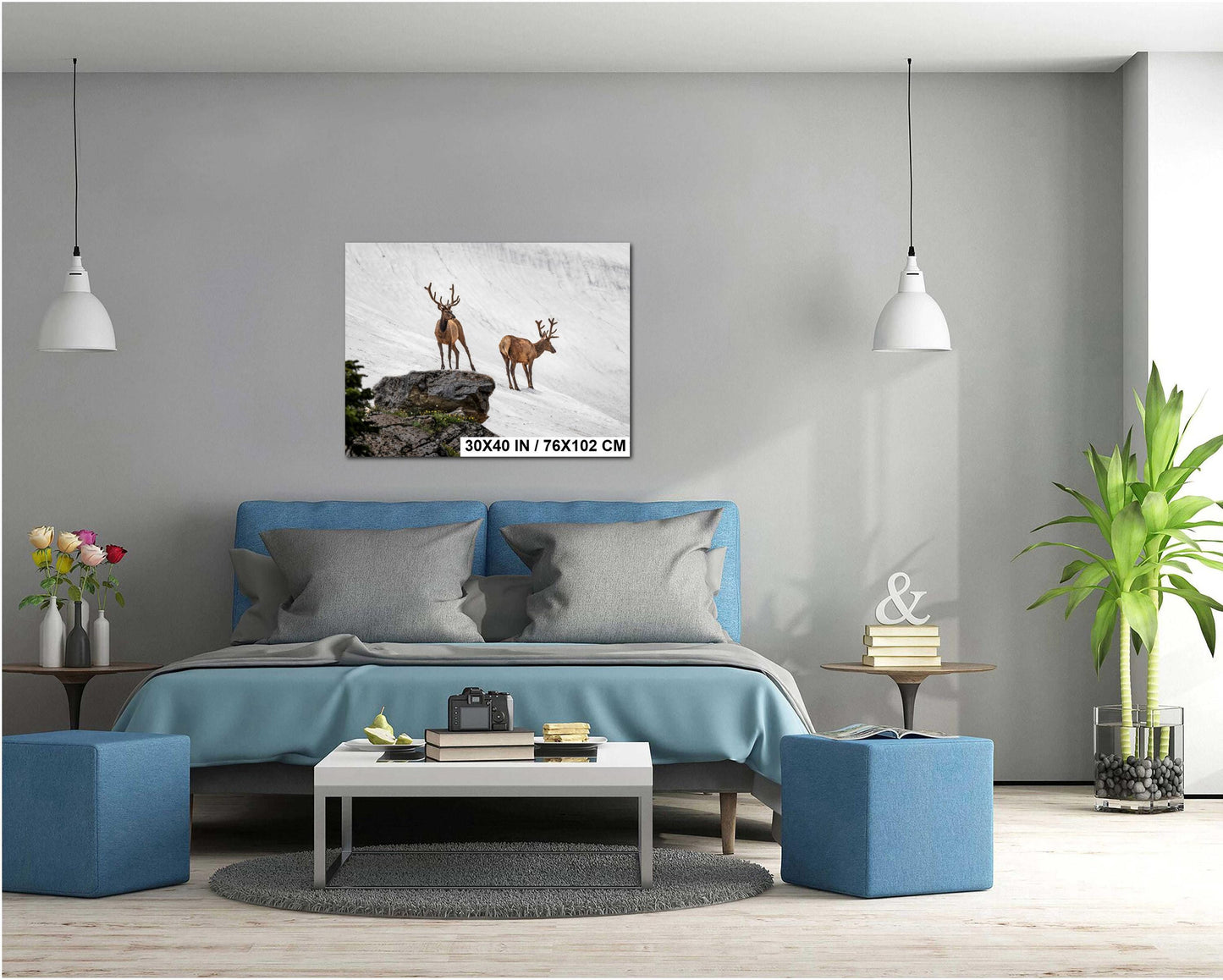 Bull Elk Duo on Summer Snow Rocky Mountain National Park Colorado Photo Print, Alpine Wildlife Wall Art Decor Aluminum/Acrylic/Metal/Canvas