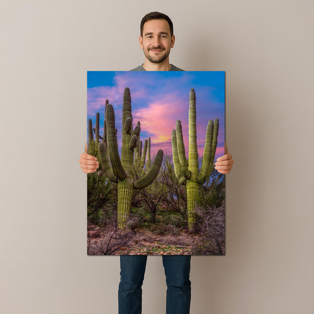 Towering Saguaros at Sunset, Catalina State Park Arizona Desert Photography Wall Art