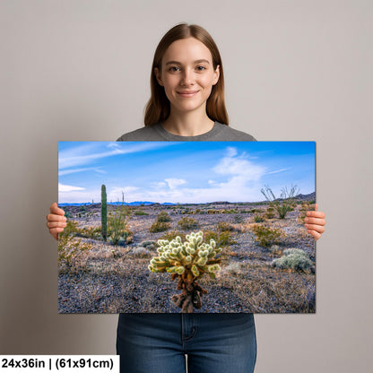 Teddy Bear Cholla in Bloom, Quartzsite Arizona Desert Landscape Photography Print