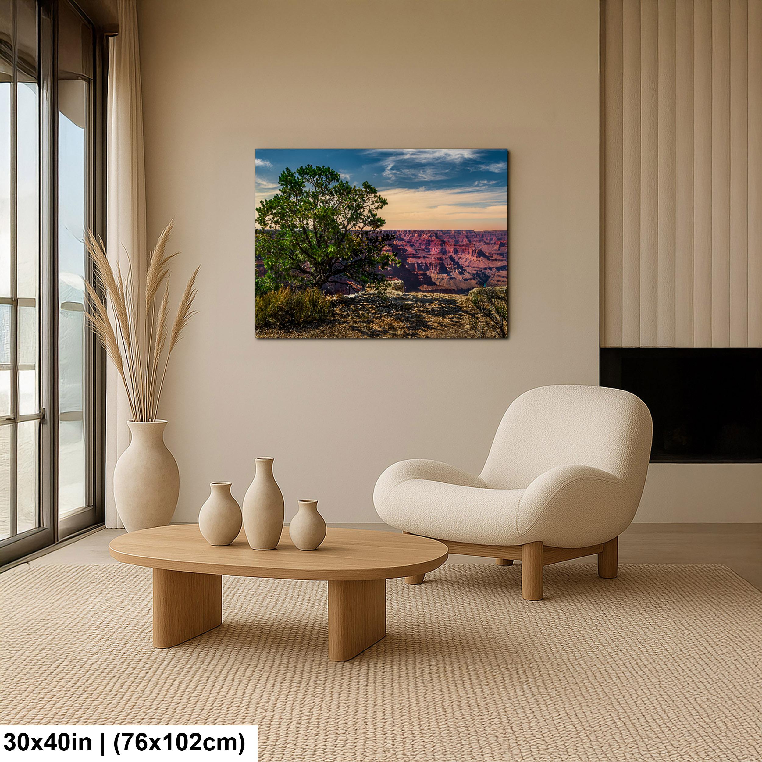 Juniper Tree Overlooking Grand Canyon, South Rim Arizona Wall Art, Canyon Landscape Photography Print