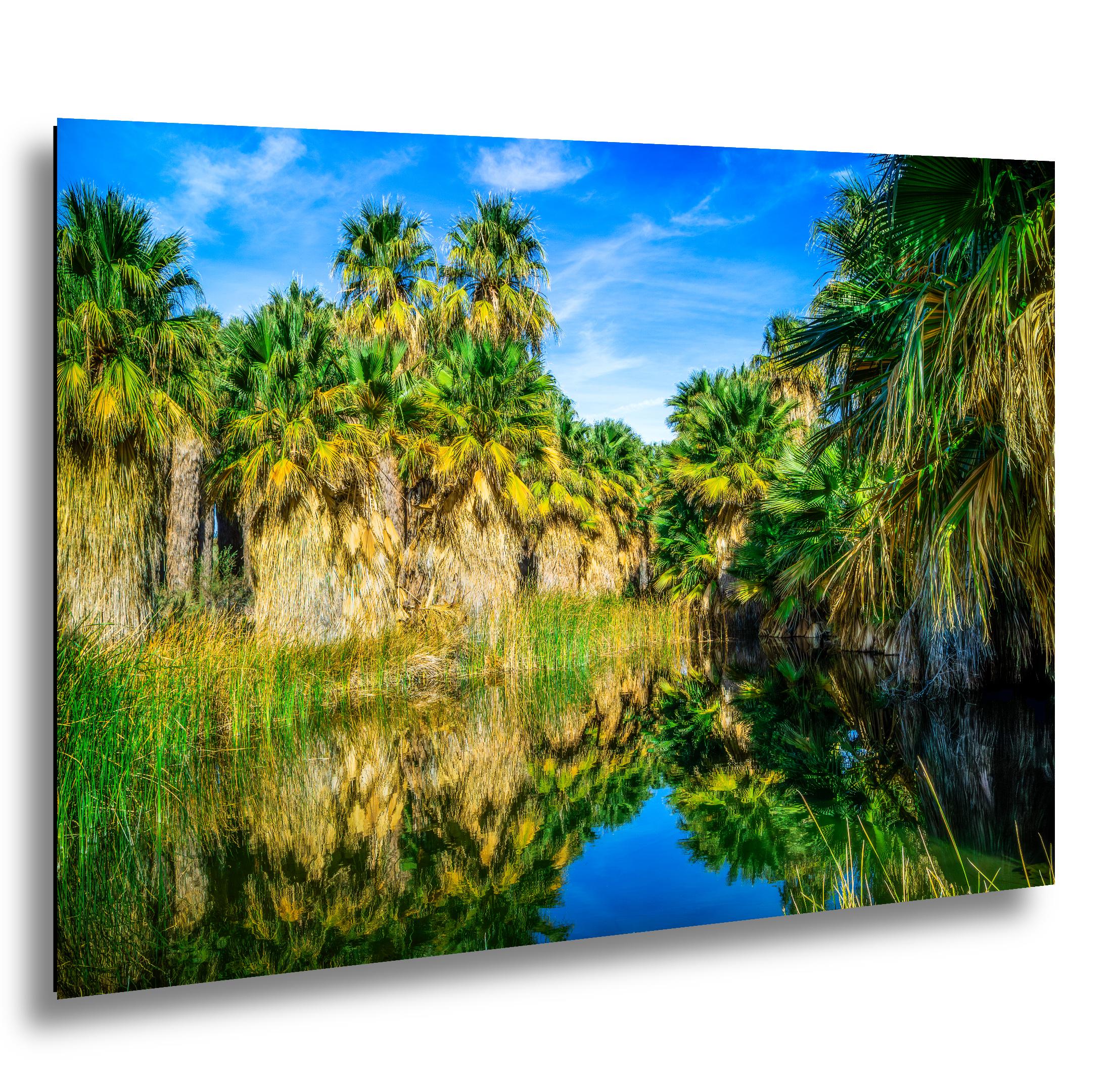 Palm Oasis Reflection Photography Print, Coachella Valley Preserve California, Desert Water Nature Wall Art