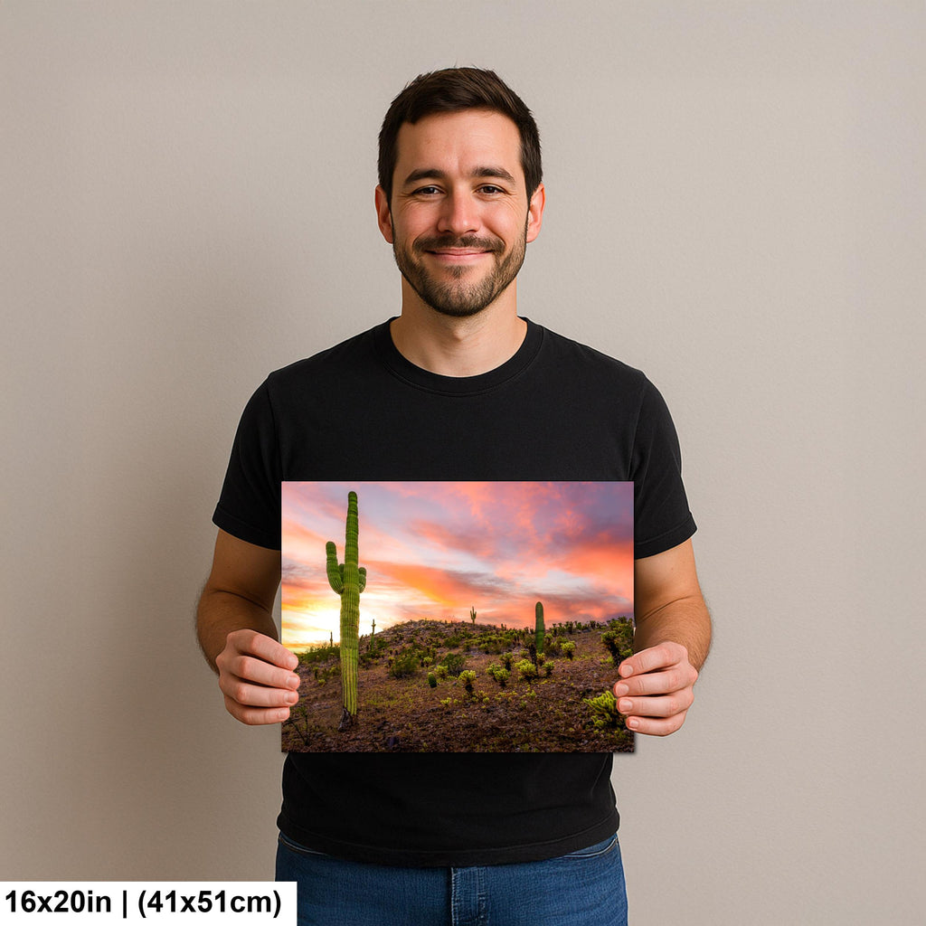 Towering Saguaro at Sunset - Sonoran Desert Casa Grande Arizona Photography Print