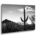 Desert Sentinel: Saguaro Cactus Oro Valley AZ Black White Photo Wall Art