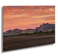 Fiery Sonoran Desert Sunset with Saguaro, Quartzsite Arizona Photography Print