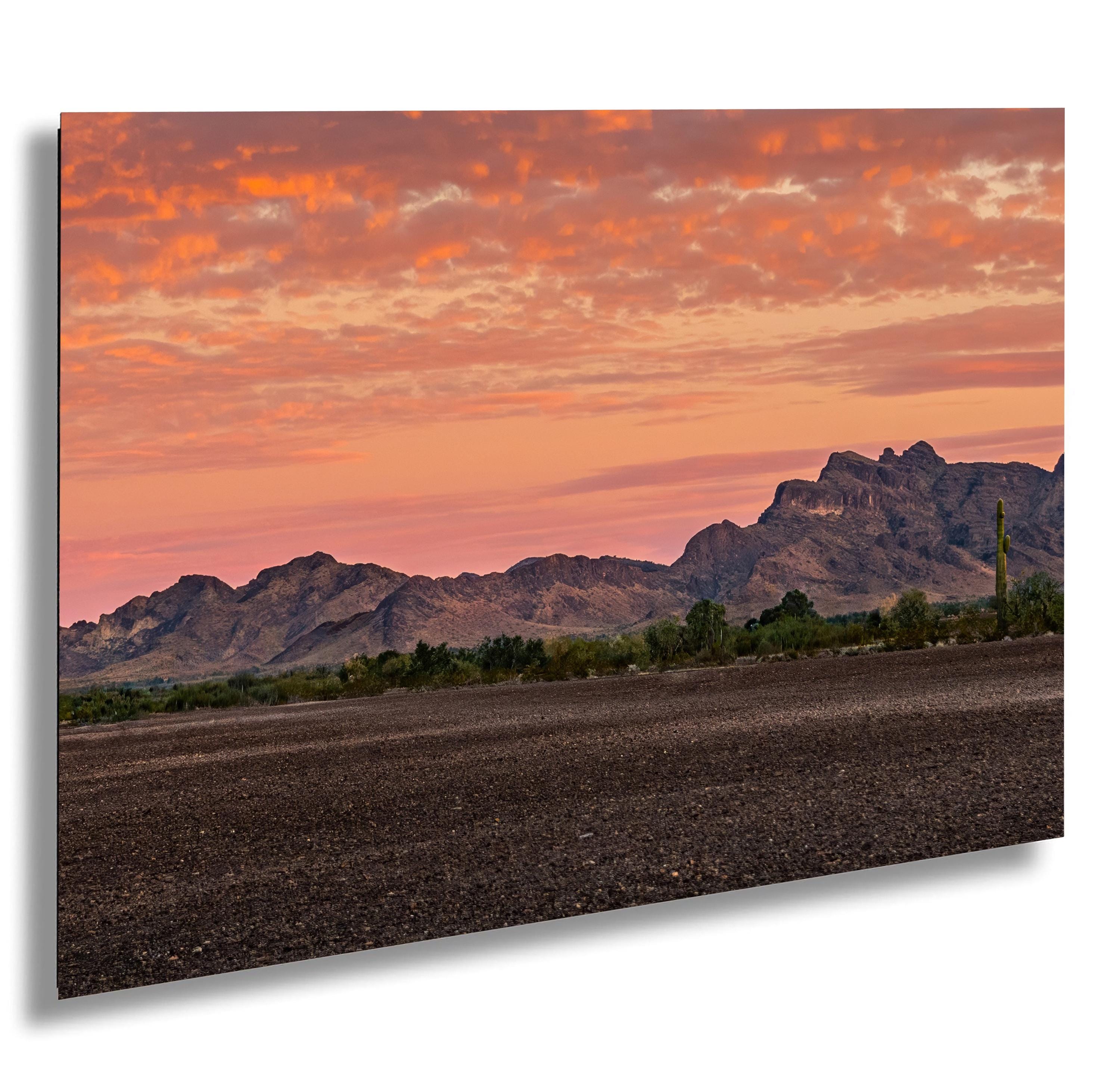 Fiery Sonoran Desert Sunset with Saguaro, Quartzsite Arizona Photography Print
