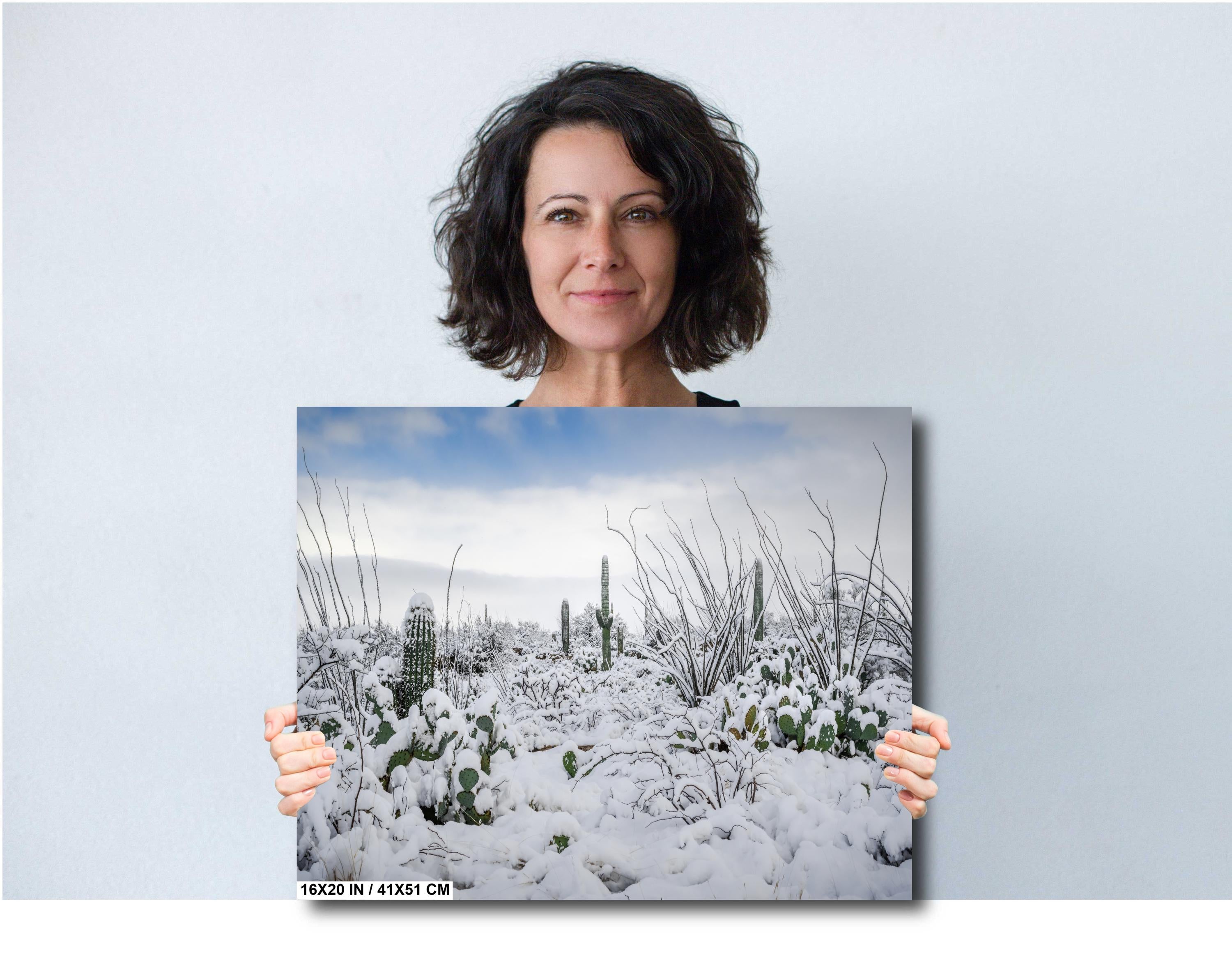Snowy Saguaro Cactus Print: Tucson Arizona Winter Landscape