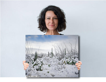 Snow in Saguaro National Park – Rare Desert Snow Cactus Art Print | Canvas & Metal