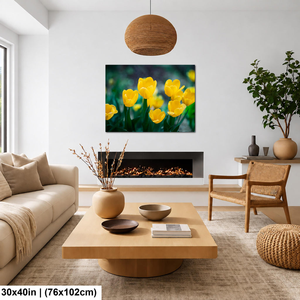 Sunlit Blooms: Yellow Tulip Flower Photography Botanical Floral Wall Art