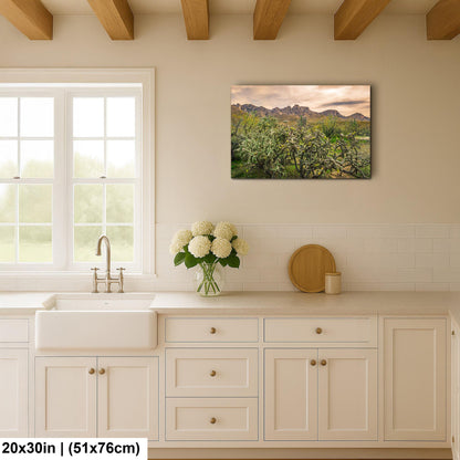 Catalina State Park Blooming Cholla - Tucson Arizona Desert Mountains Photography Print