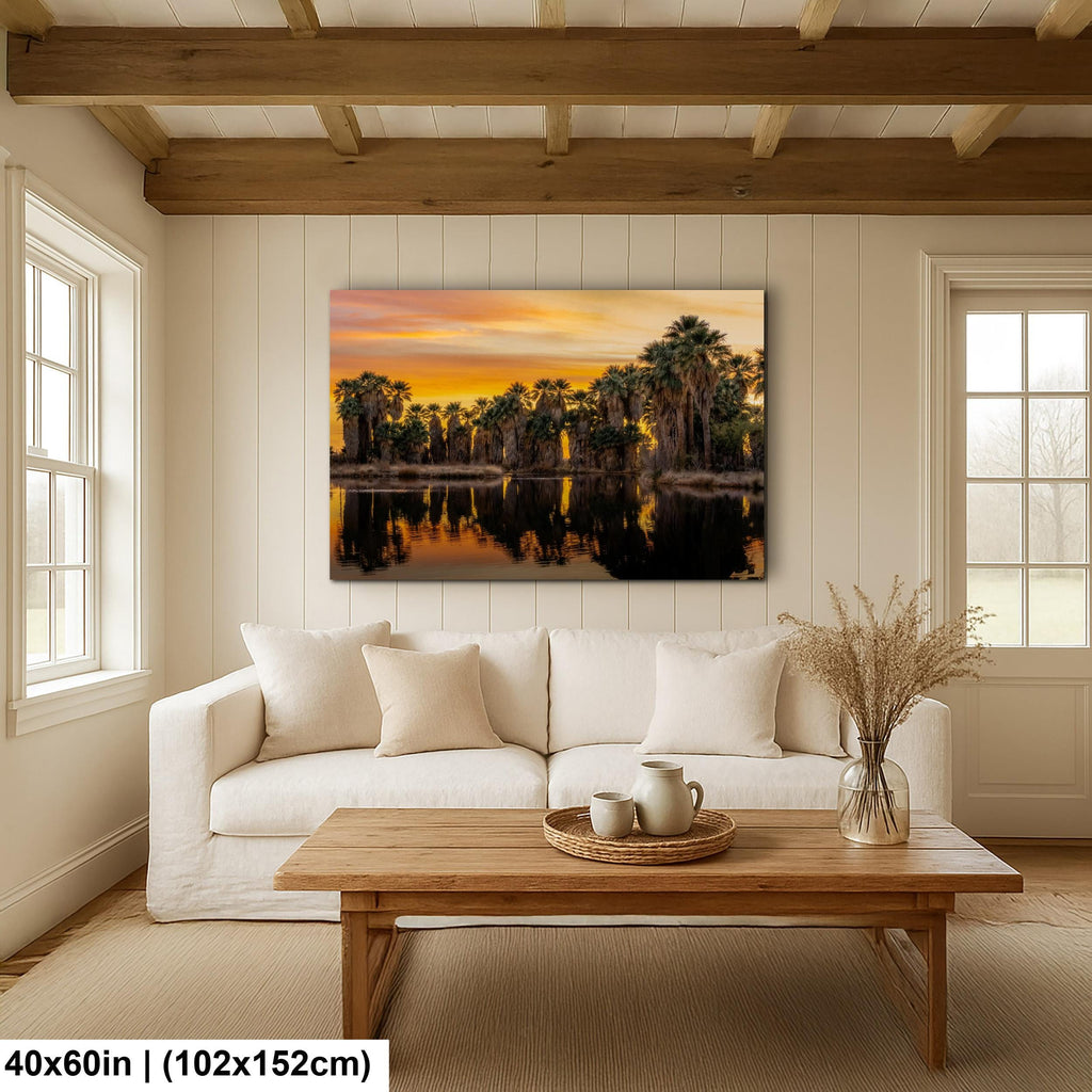Agua Caliente Palm Grove Sunset Reflection - Tucson Arizona Photography Print
