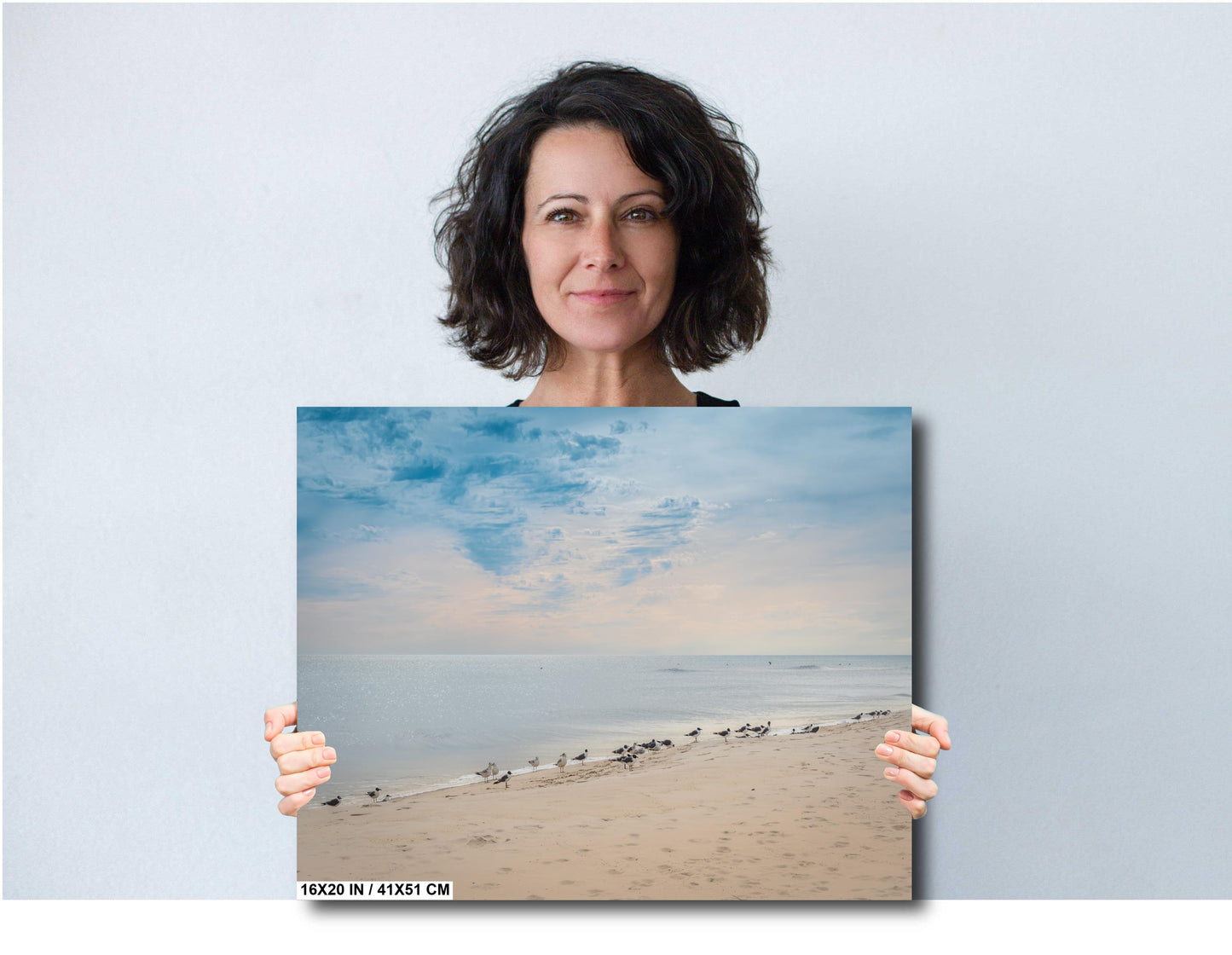 Birds on Perdido Key Beach: Florida Seascape Print Wall Art Coastal Wildlife Photography Aluminum/Acrylic/Metal/Canvas Home Decor