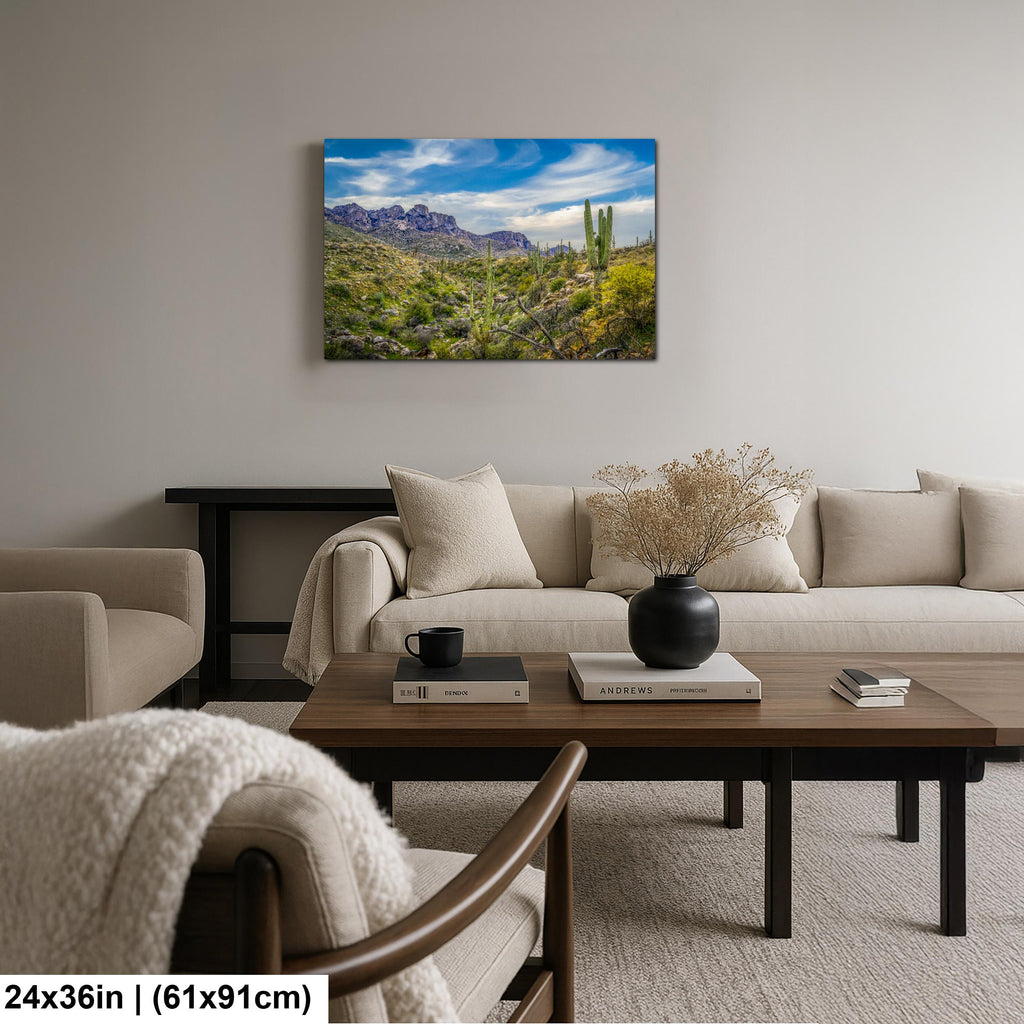Sonoran Desert Valley with Saguaros and Mountains - Catalina State Park Tucson Arizona Photography Print