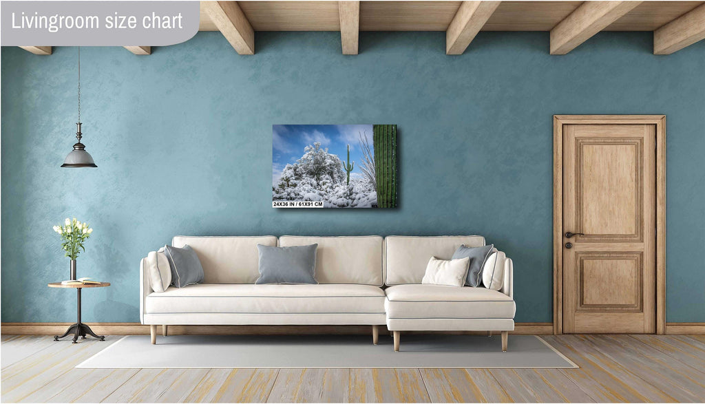 The White Desert: Snowfall in Saguaro National Park Tucson Arizona