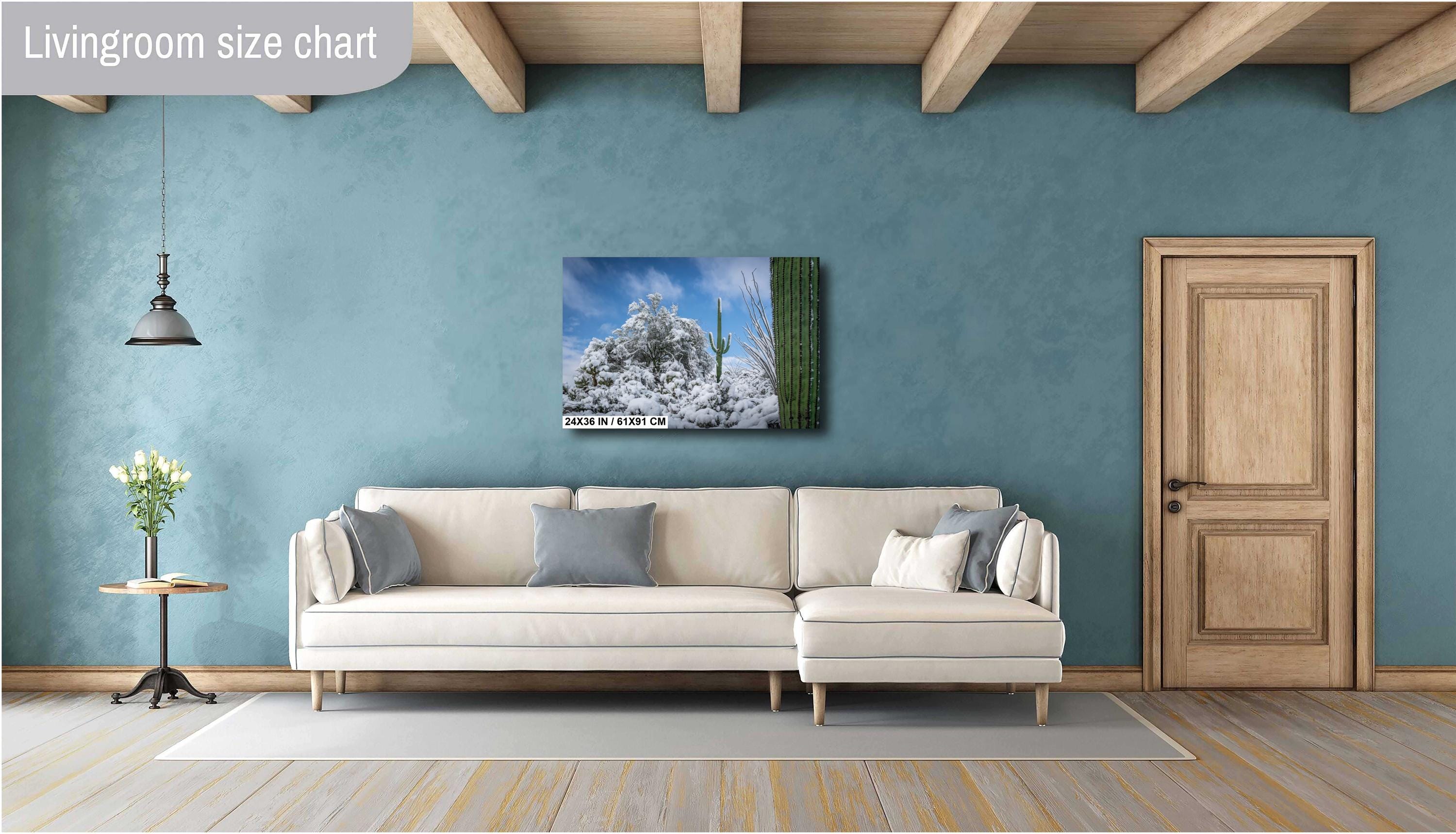 The White Desert: Snowfall in Saguaro National Park Tucson Arizona