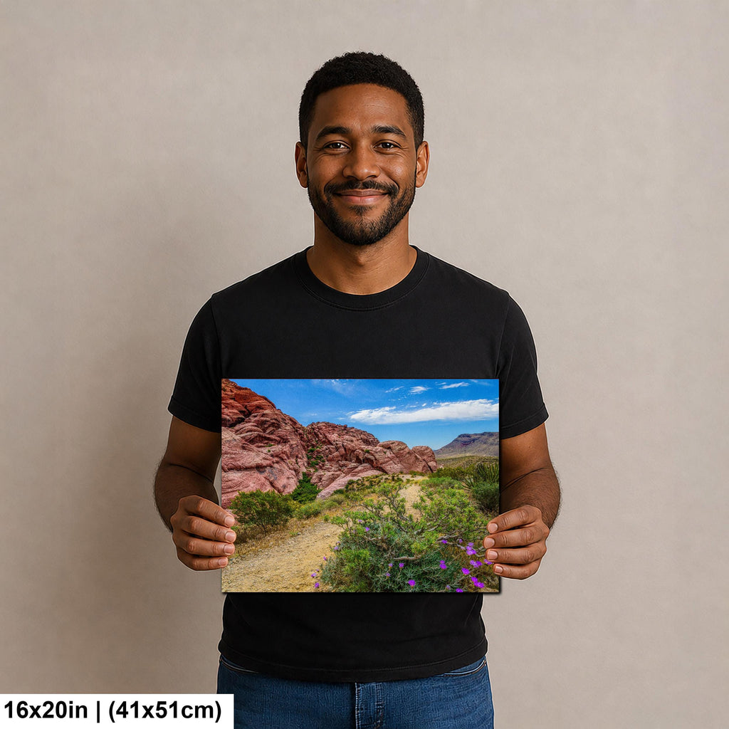 Wildflower Trail: Red Rock Canyon Las Vegas Nevada Photography Wall Art
