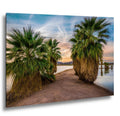 Oasis Palms: Mittry Lake Yuma AZ Desert Sunset Landscape Photo Wall Art