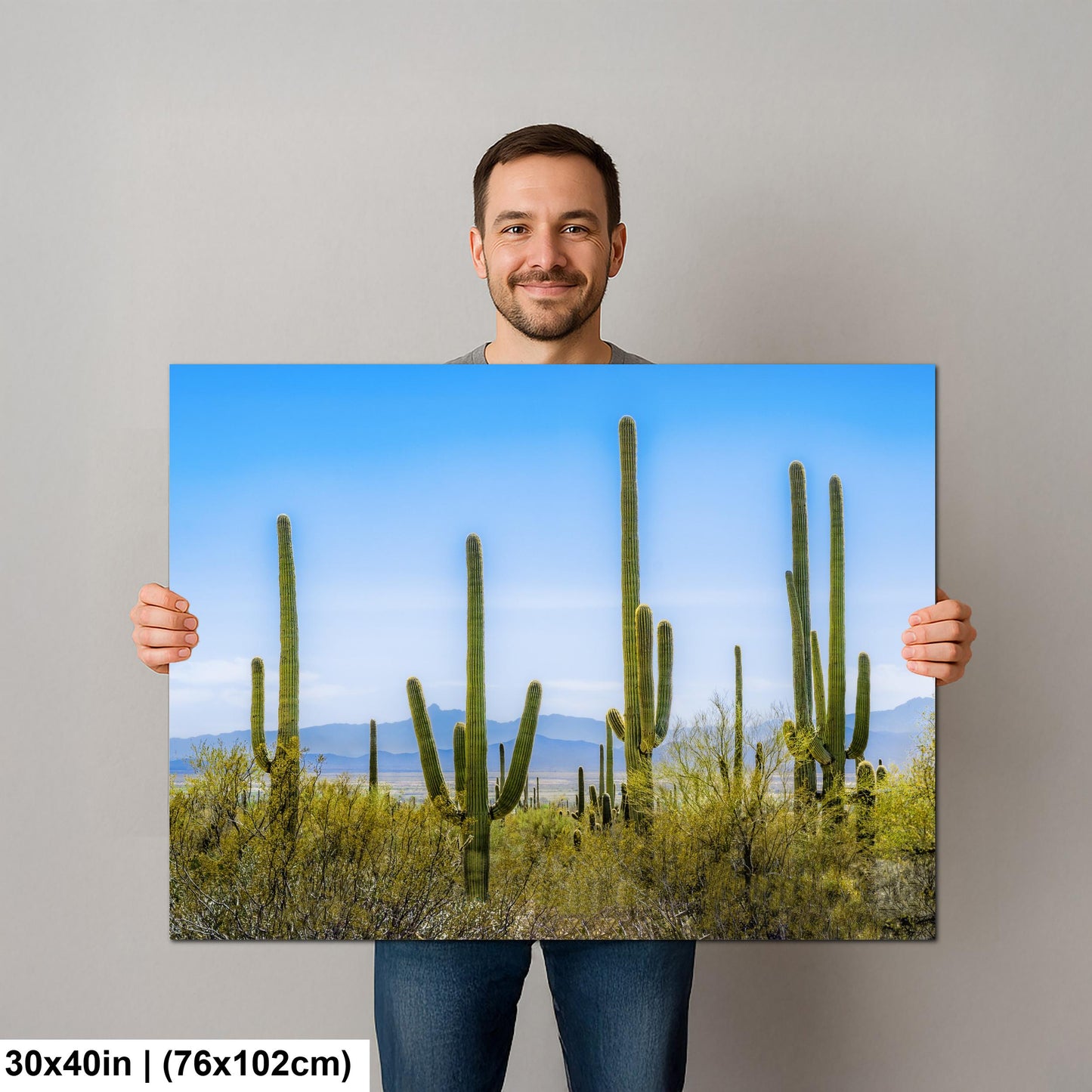 Panoramic Saguaro Desert Landscape, Tucson Arizona Photography Print, Southwest Wall Art, Cactus Decor, Desert Mountain View