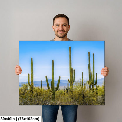 Panoramic Saguaro Desert Landscape, Tucson Arizona Photography Print, Southwest Wall Art, Cactus Decor, Desert Mountain View