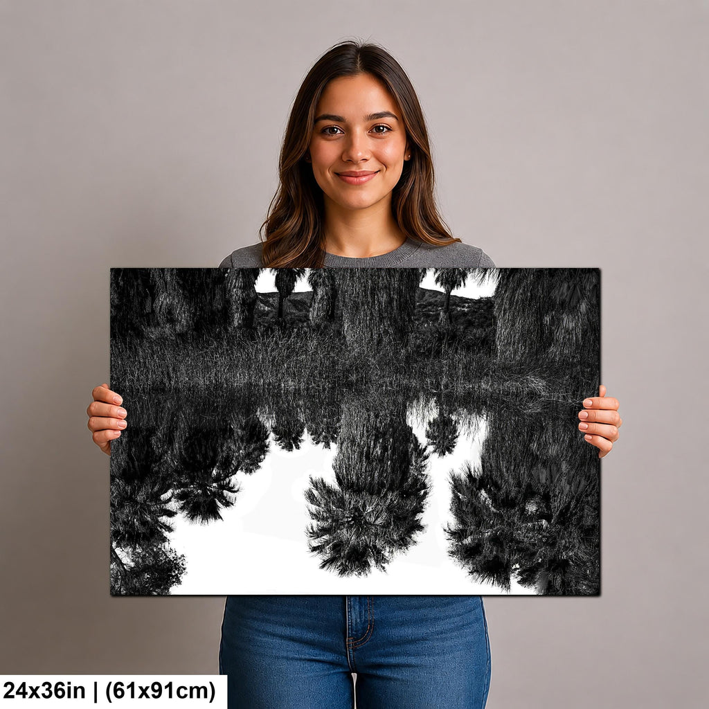 Palm Reflections: Coachella Valley Preserve CA Black White Photo Wall Art