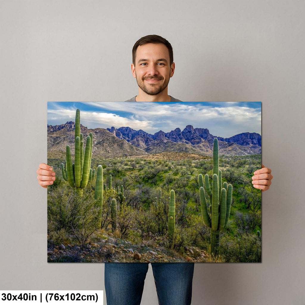 Sonoran Desert Landscape with Saguaros and Mountain Ridge - Tucson Arizona Photography Print