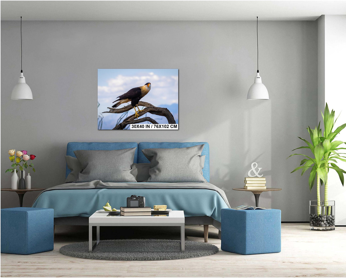 Crested Caracara Fine Art Print: Arizona Desert Wildlife Photography