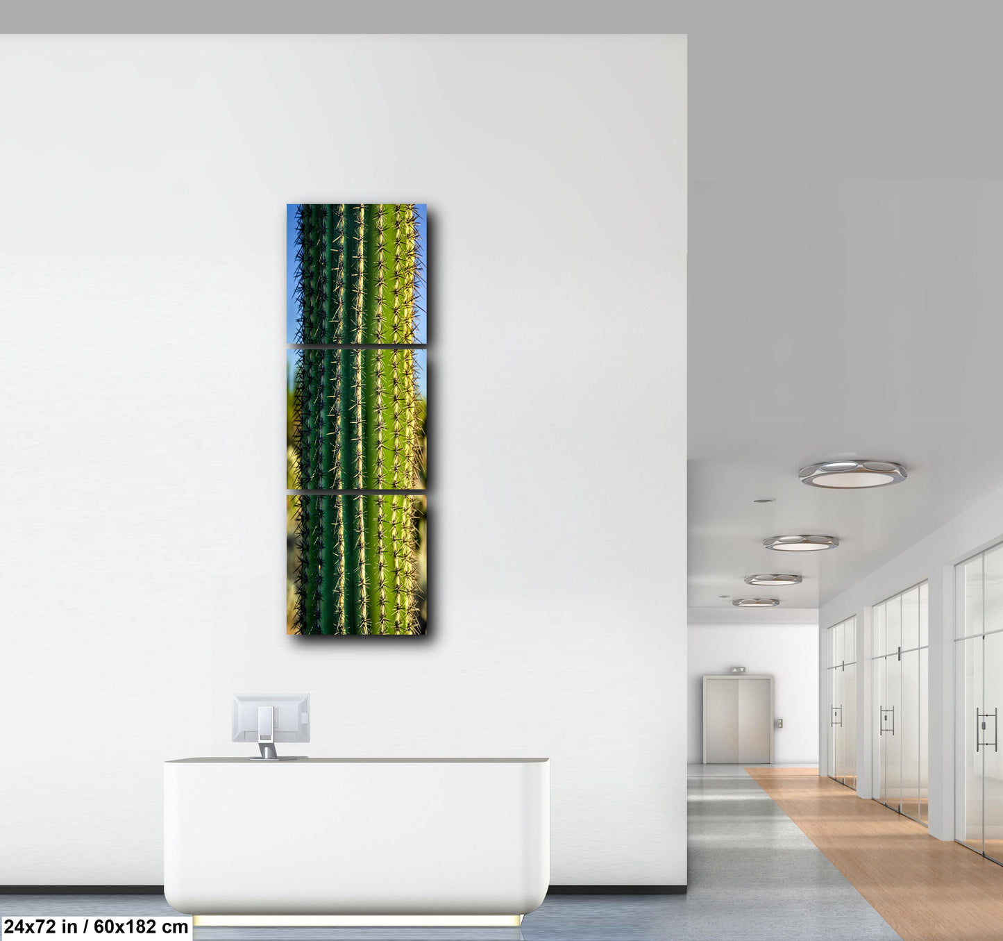 Saguaro Cactus Close-Up Photography Print, Oro Valley Arizona Desert Wall Art, Southwestern Decor, Green Cactus Spines