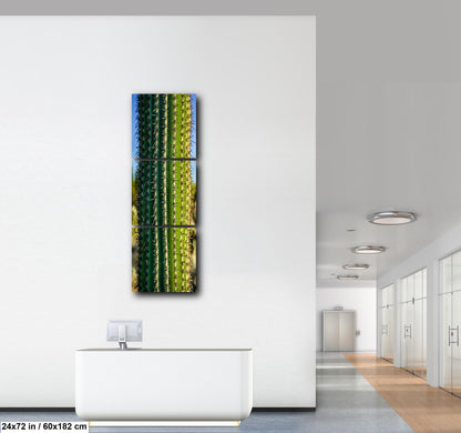 Saguaro Cactus Close-Up Photography Print, Oro Valley Arizona Desert Wall Art, Southwestern Decor, Green Cactus Spines