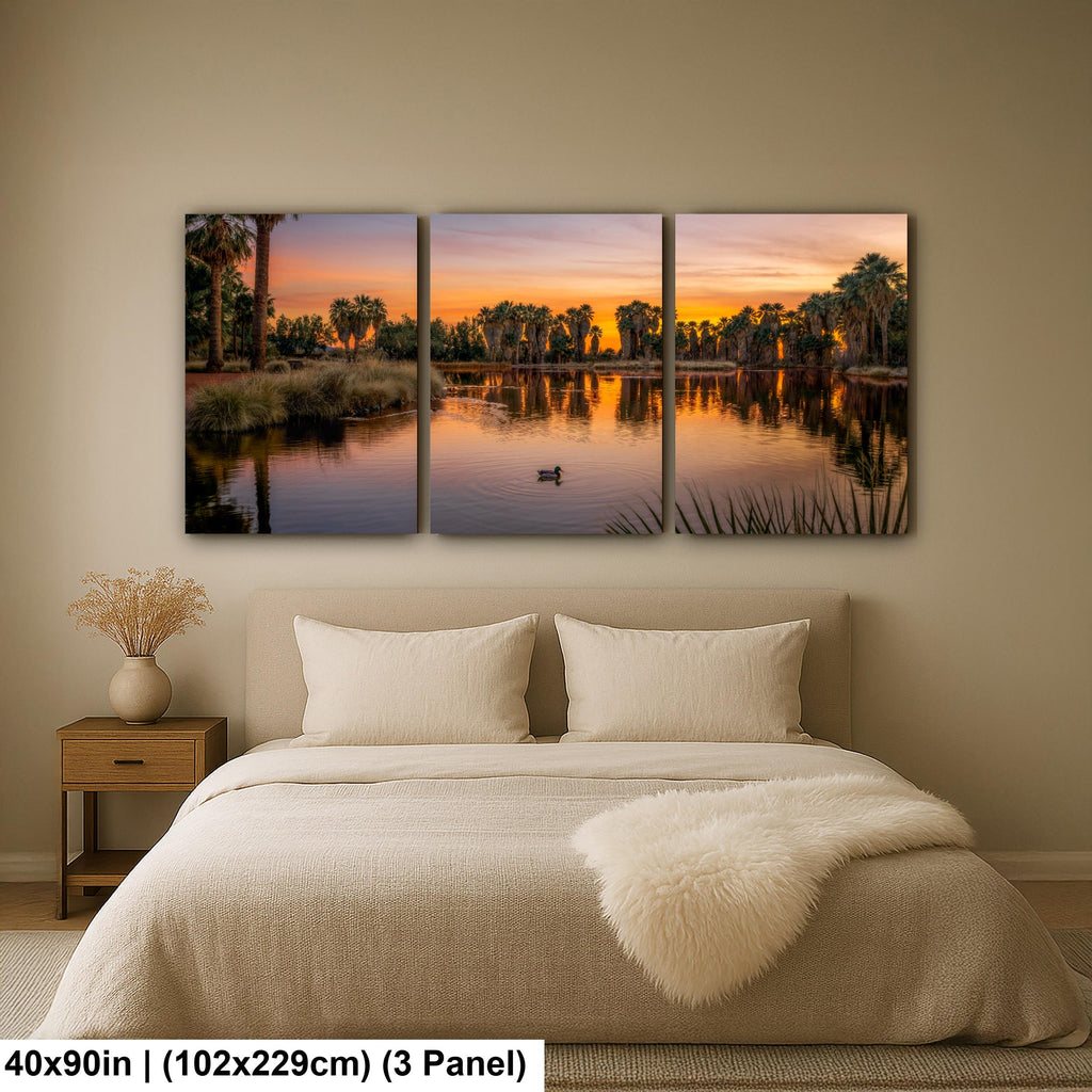 Agua Caliente Park Sunset Reflection, Tucson Arizona Photography Print, Desert Oasis Wall Art, Palm Tree Landscape Decor