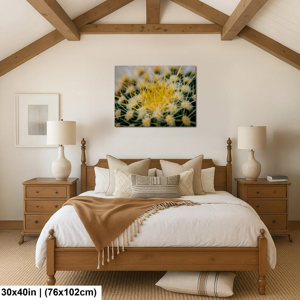 Golden Barrel Cactus: Yellow Spines Macro Botanical Photography Wall Art
