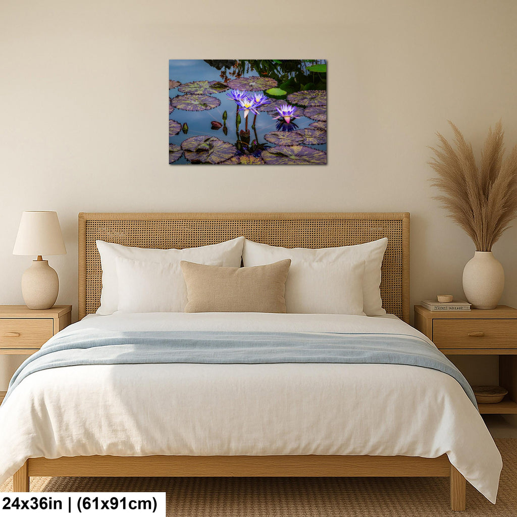 Purple Star Lotus: Botanical Water Lily Flower Pond Photography Wall Art