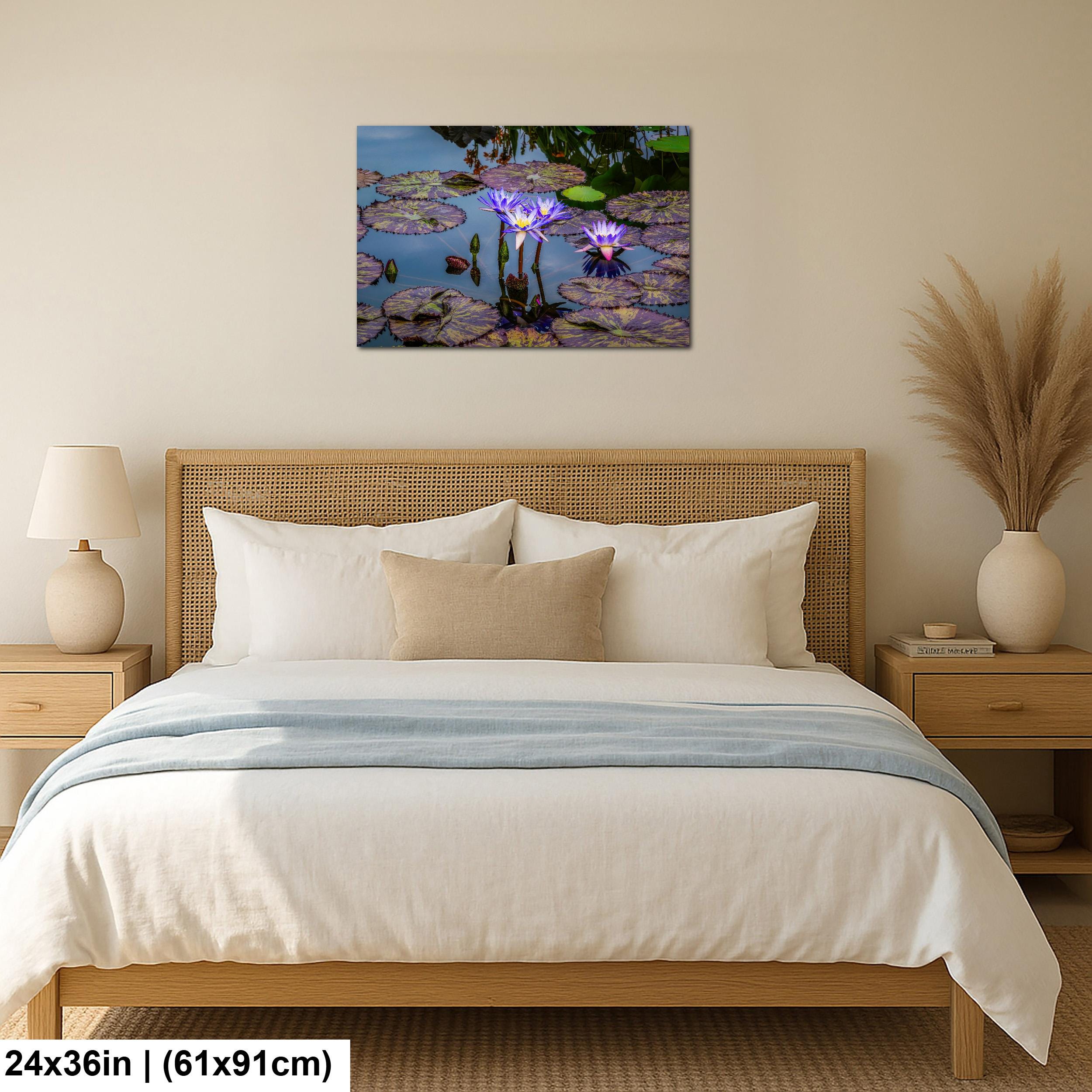 Purple Star Lotus: Botanical Water Lily Flower Pond Photography Wall Art