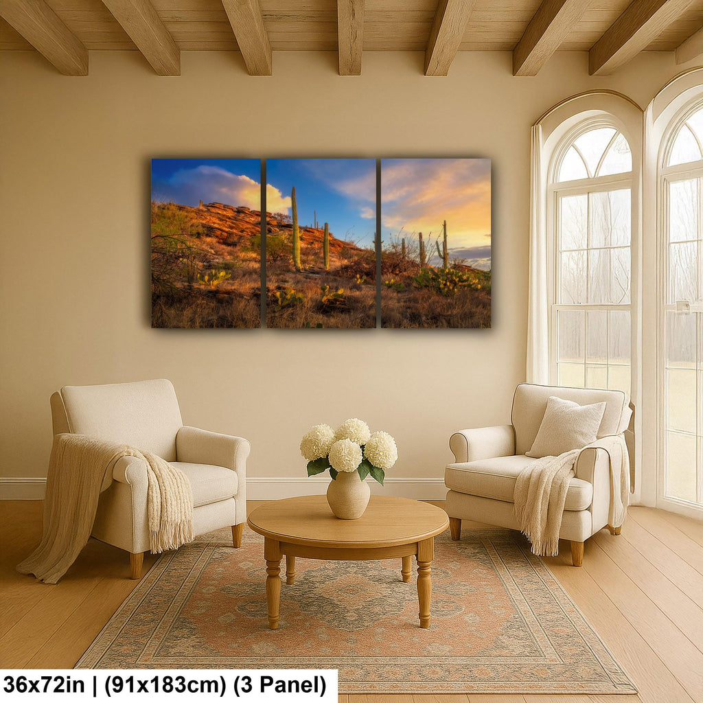 Sonoran Desert Sunset on Rocky Hillside - Saguaro National Park East Tucson Photography Print