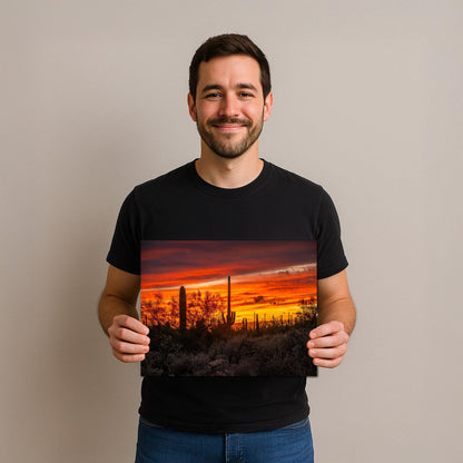 Gold Canyon Sunset Silhouettes, Hieroglyphic Trail Arizona Saguaro Cactus Desert Wall Art