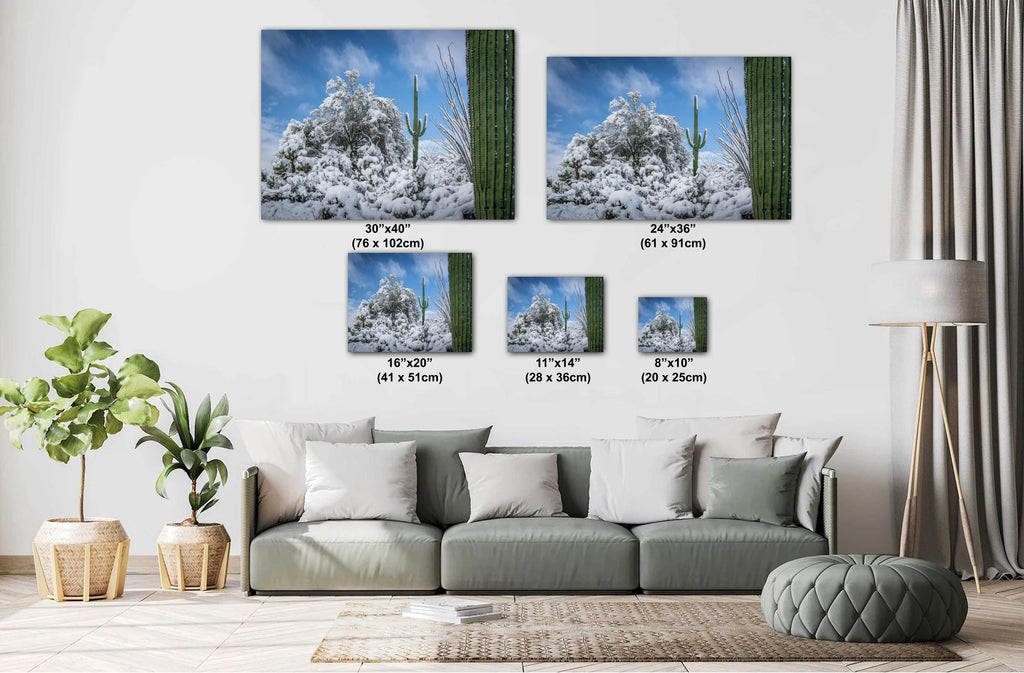 The White Desert: Snowfall in Saguaro National Park Tucson Arizona