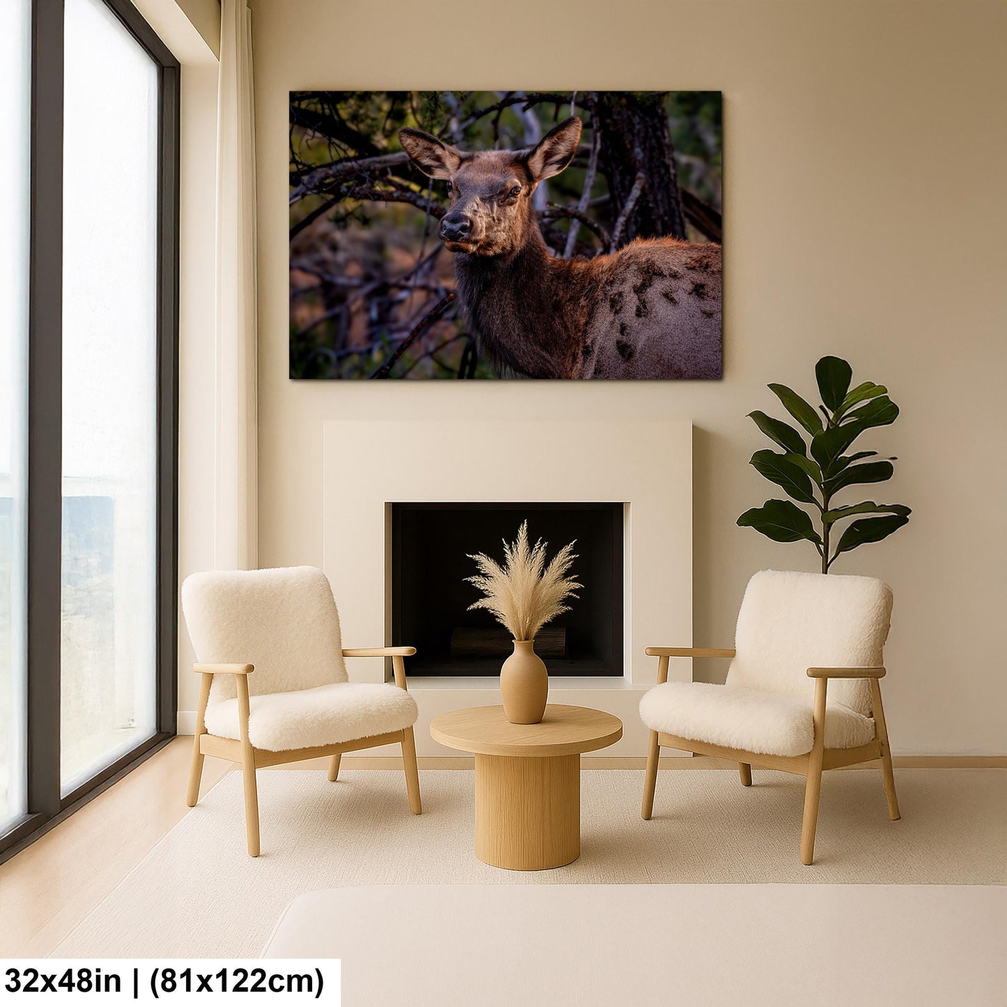 Young Elk Portrait, Arizona Wildlife Wall Art, Forest Animal Nature Decor Photography Print