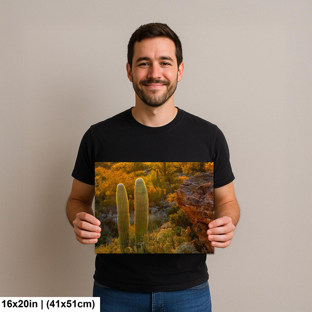 Golden Hour Saguaros Beside Desert Rock Formation Tucson Arizona Photography Print