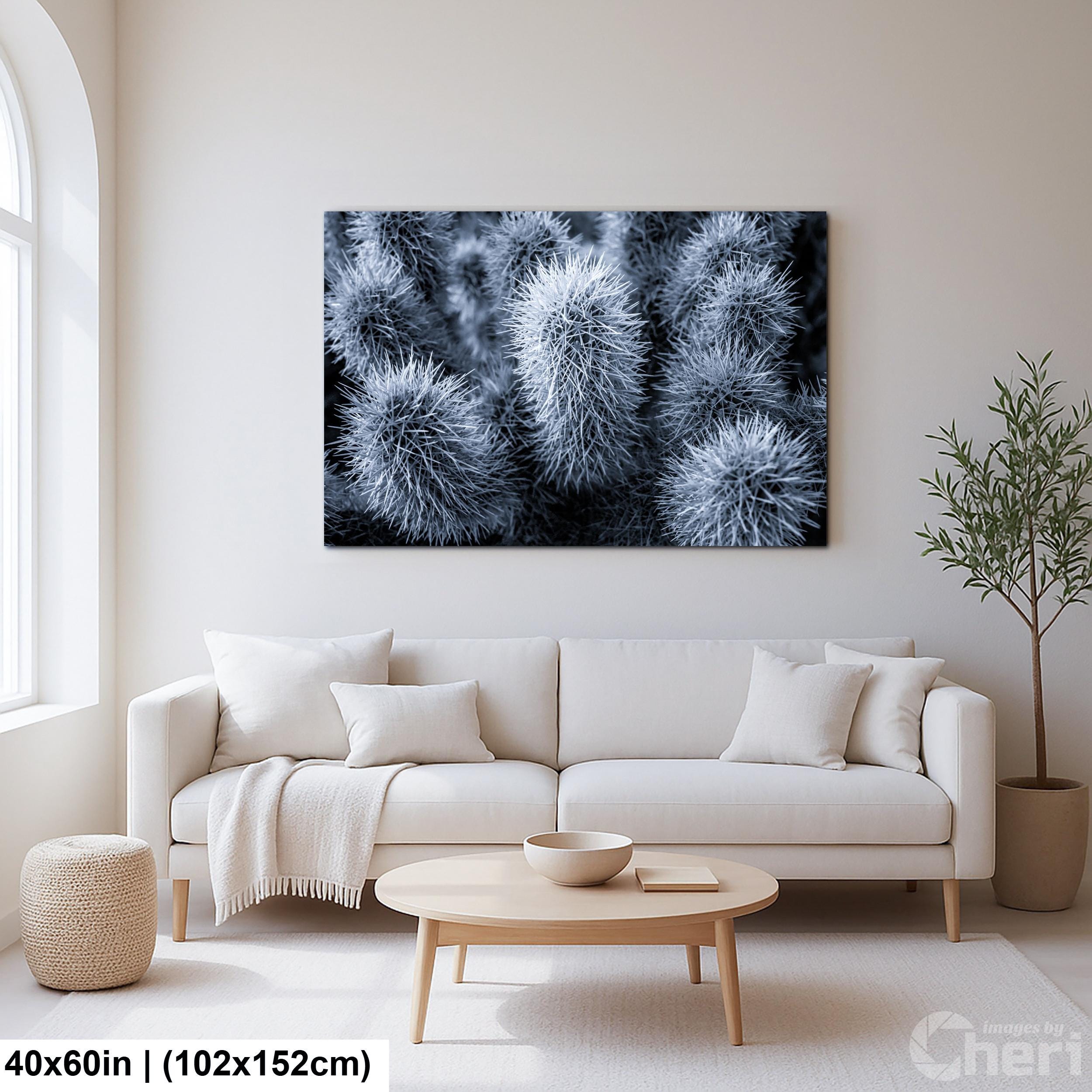 Cholla Cactus Spines Black and White - Saguaro National Park East Tucson Photography Print