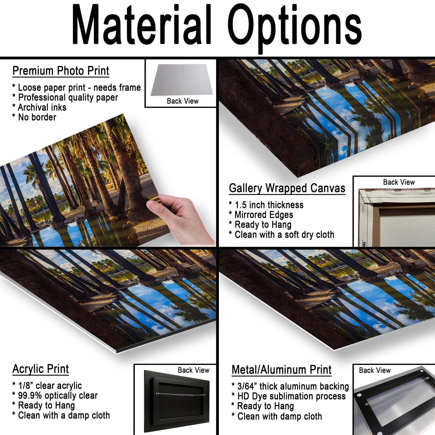 Agua Caliente Park Palm Tree Oasis Reflections - Tucson Arizona Photography Print