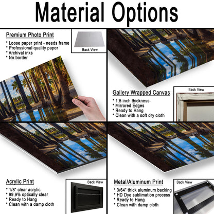 Agua Caliente Park Palm Tree Oasis Reflections - Tucson Arizona Photography Print