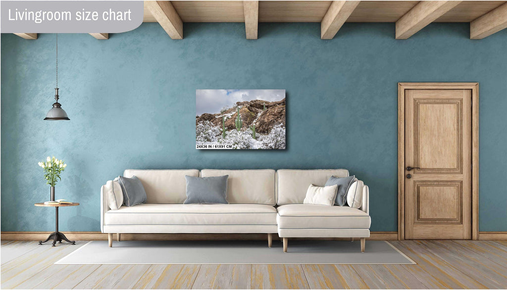 Saguaro National Park Winter Print: Tucson Arizona Desert Snow Scene