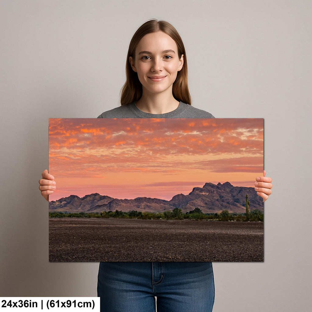 Fiery Sonoran Desert Sunset with Saguaro, Quartzsite Arizona Photography Print